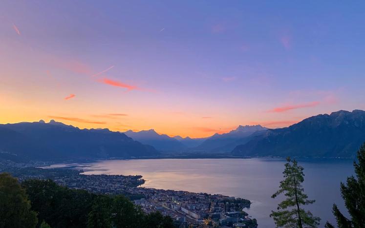 The 2026 Global CBD Landscape: How to Find the Best CBD Products and Trusted Local CBD Shops