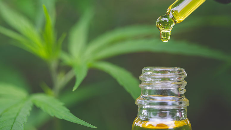 global CBD stores