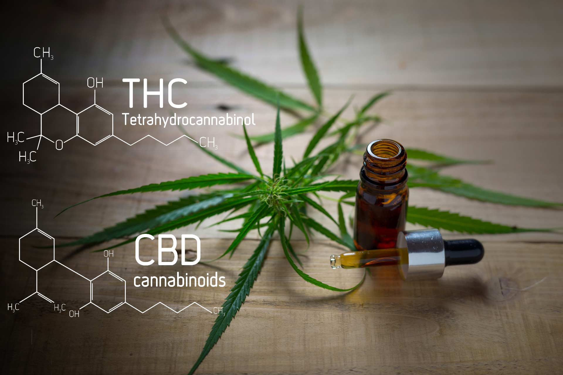 CBD product display in retail setting