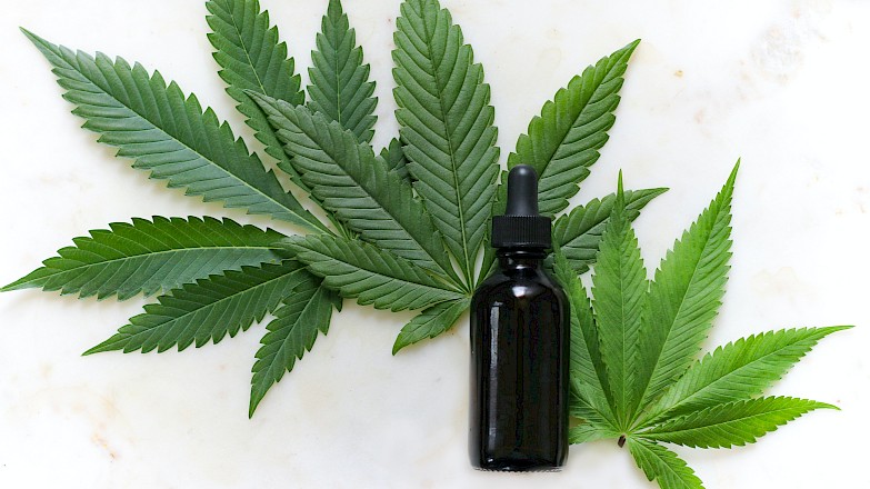 MindCBD Review: Best Organic CBD Oils and Flowers from France