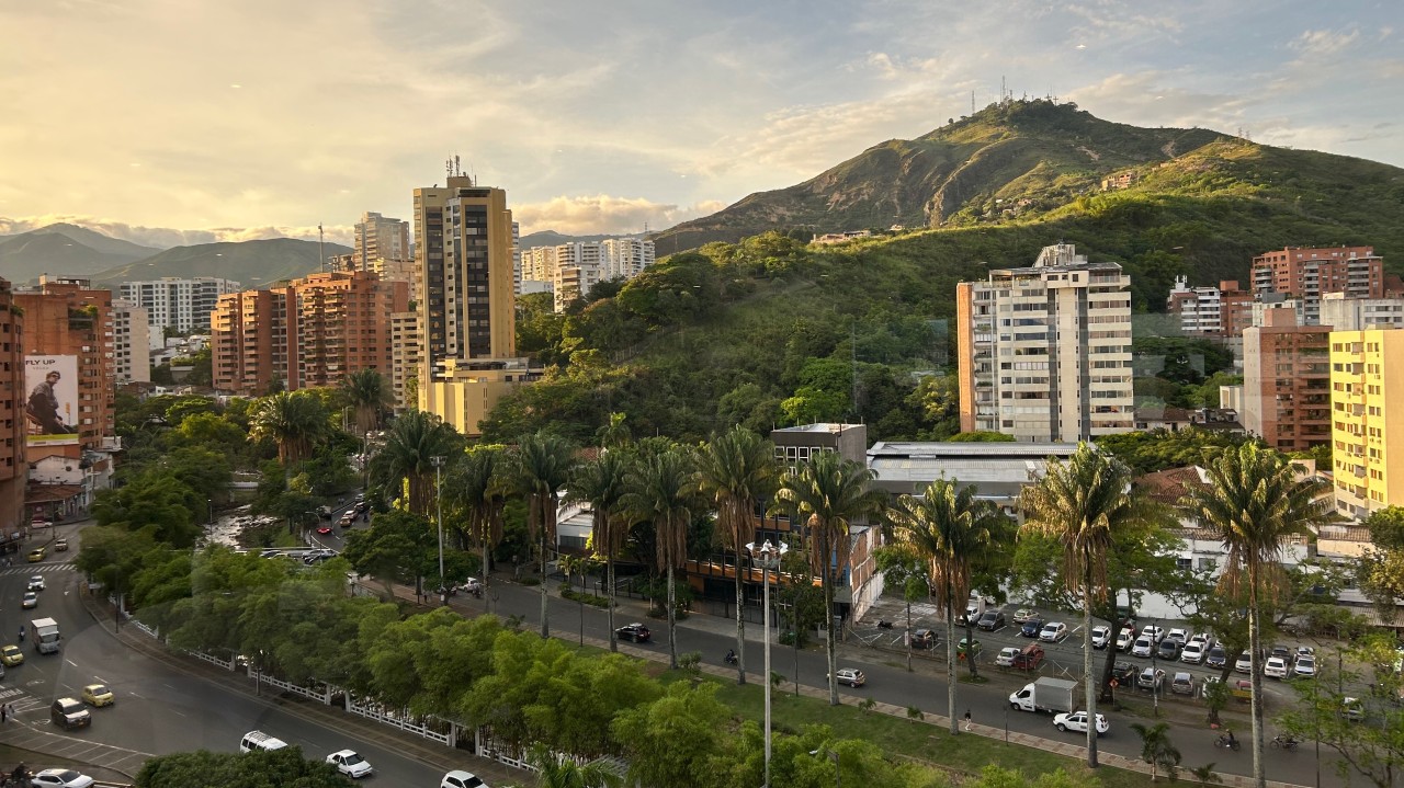The Global CBD Landscape