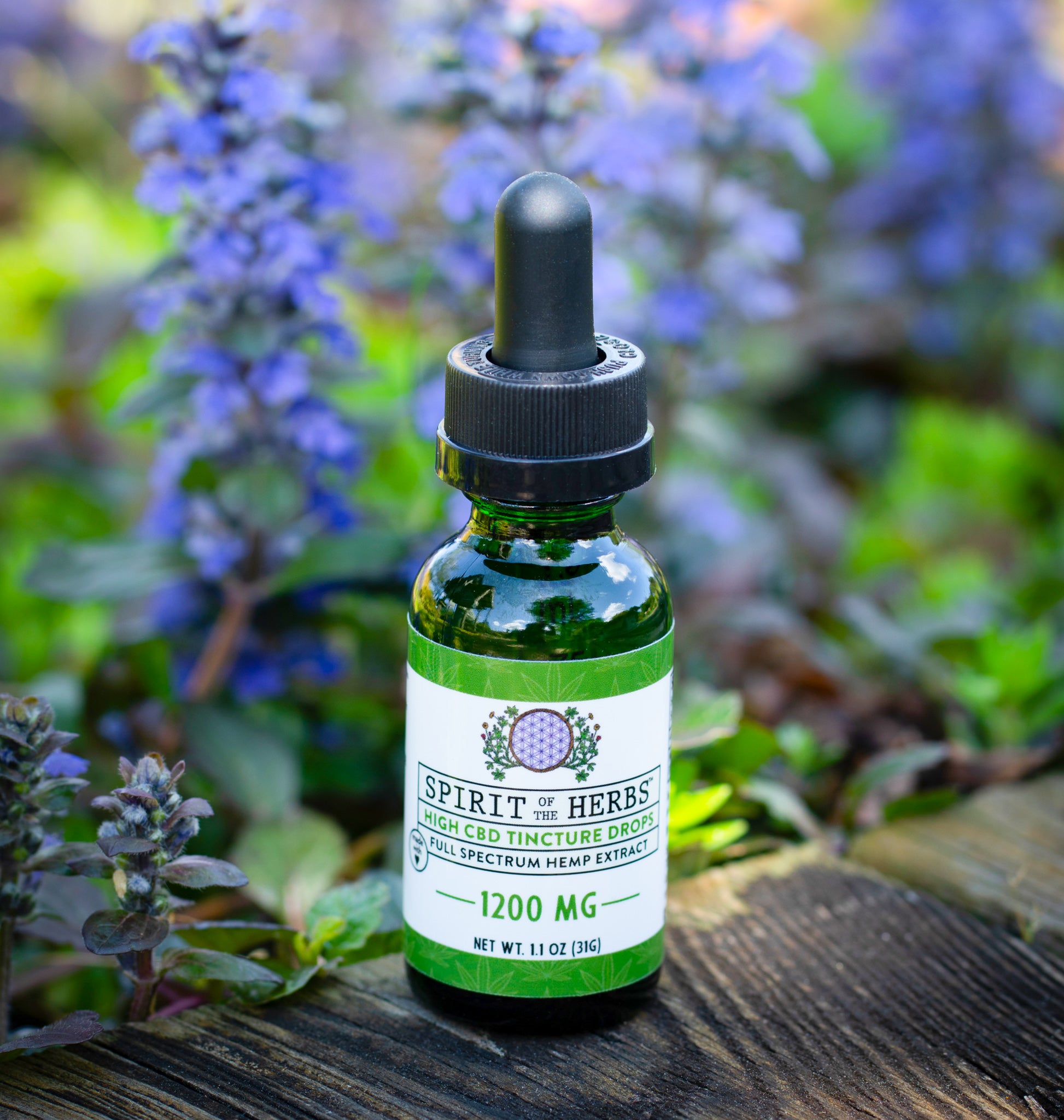 CBD Tincture