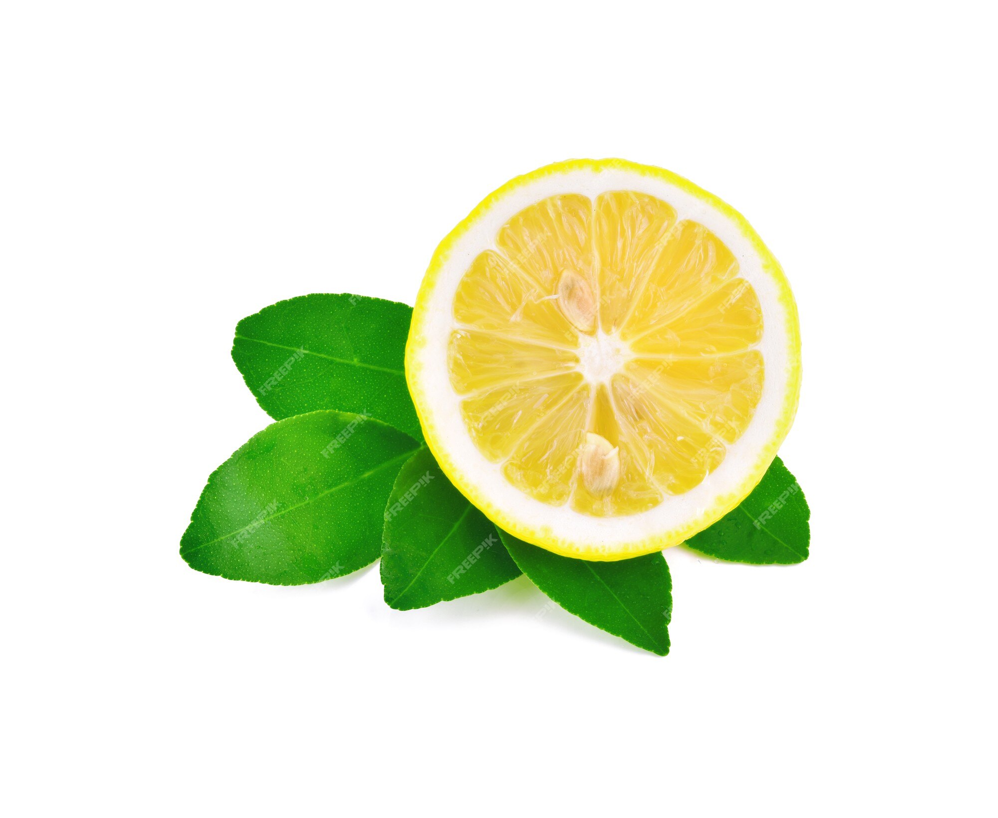 fresh lemon slice