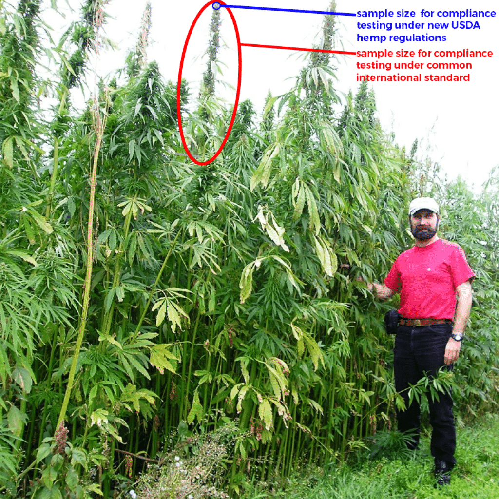 THC 0.3% legal threshold