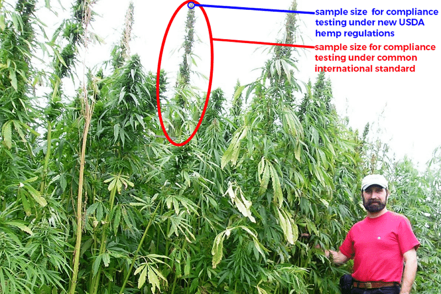 THC 0.3% legal threshold