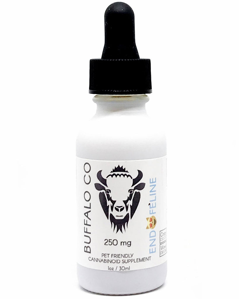 cbdMD Pet CBD Oil Tincture for Dogs