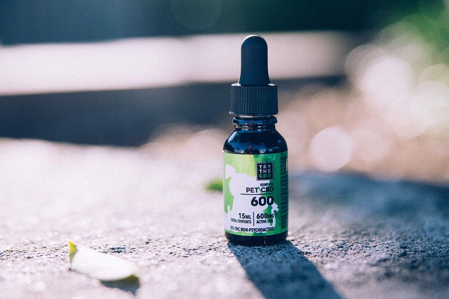 Medterra Pets CBD Tincture