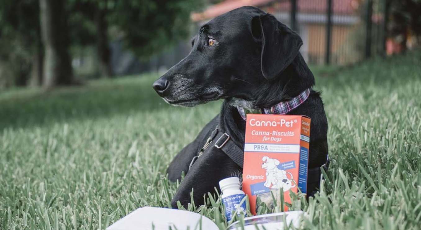 Canna-Pet Canna-Biscuits for Dogs