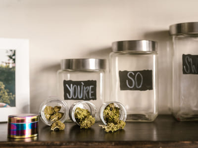 CBD and the Immune System: Can It Help Boost Your Overall Health?