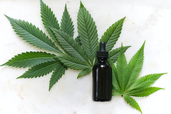 CBD vs. THC: Understanding the Key Differences and Benefits of Each