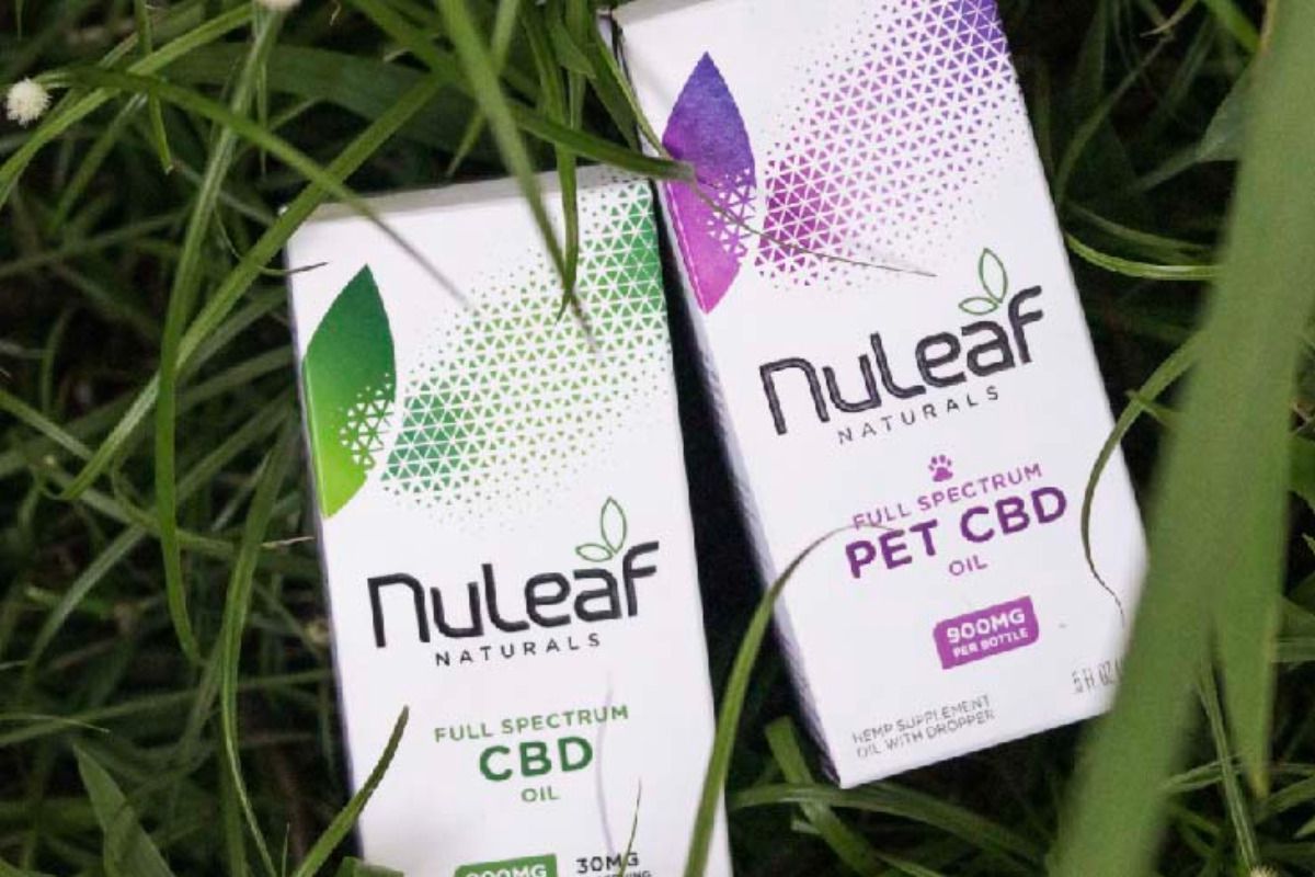 CBD isolate anti-inflammatory