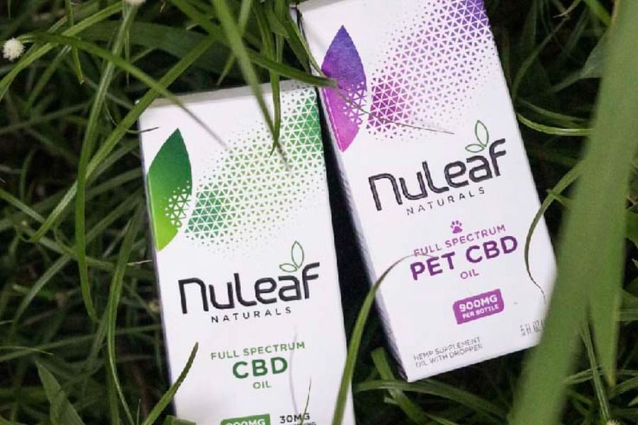 CBD isolate anti-inflammatory