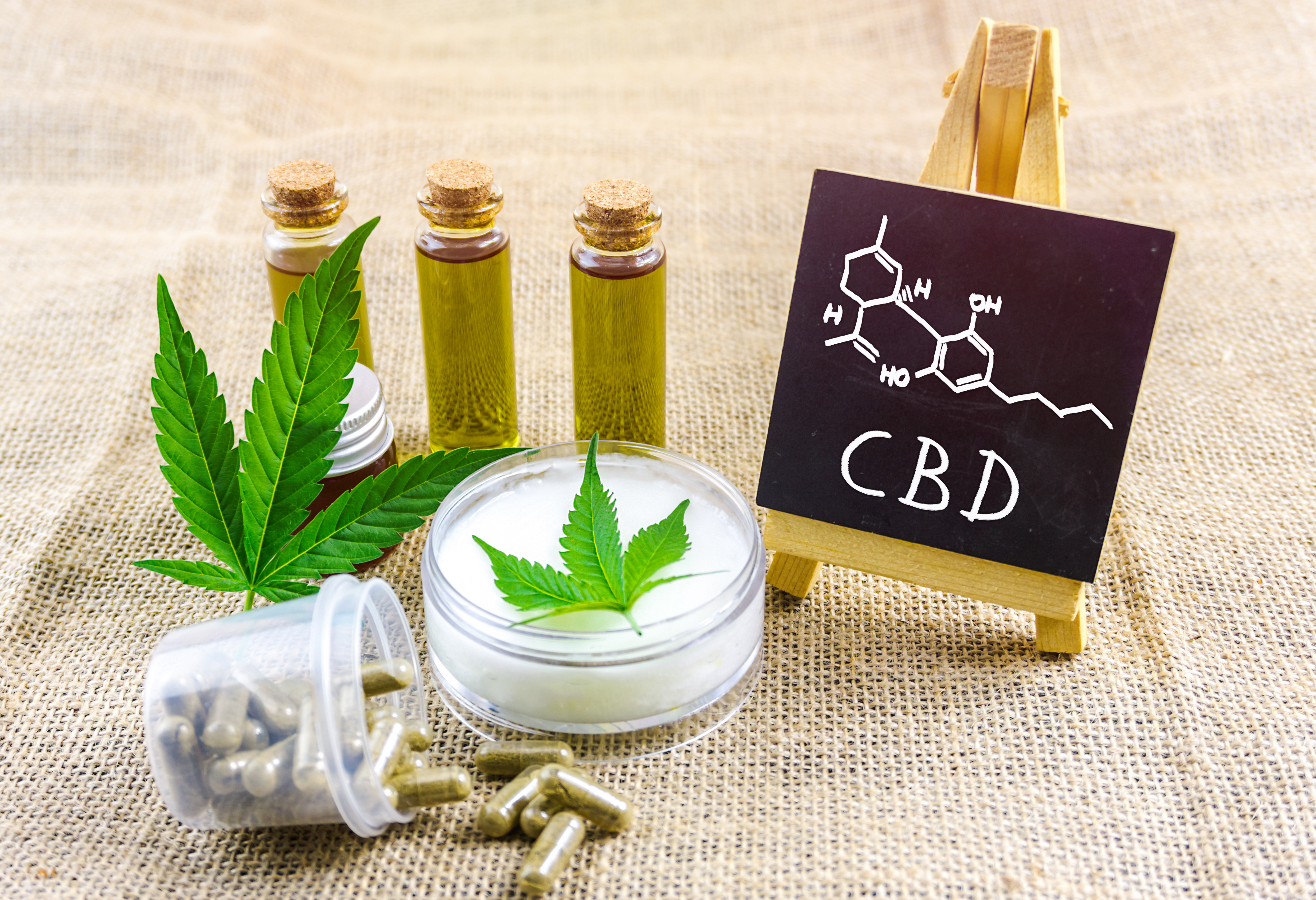 CBD isolate neuroprotective