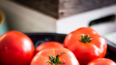 Quality over Quantity: How to Choose the Best CBD Brand for Your Needs