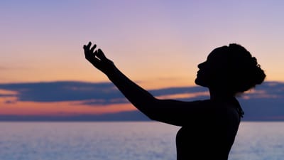 Top 5 CBD Brands for Quality and Innovation: A Comprehensive Review