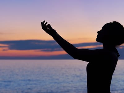 Top 5 CBD Brands for Quality and Innovation: A Comprehensive Review