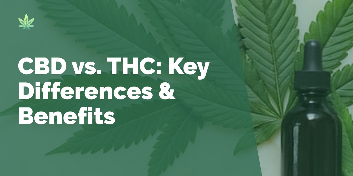 CBD Vs. THC: Understanding The Key Differences And Benefits Of Each