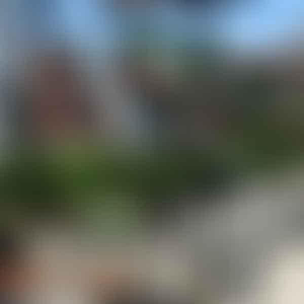 Best CBD Dispensaries in Roscoe, Illinois