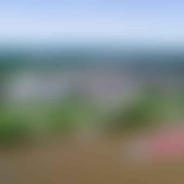 Best CBD Dispensaries in New Albany, Indiana