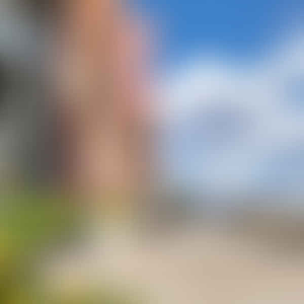 Best CBD Dispensaries in Belen, New Mexico