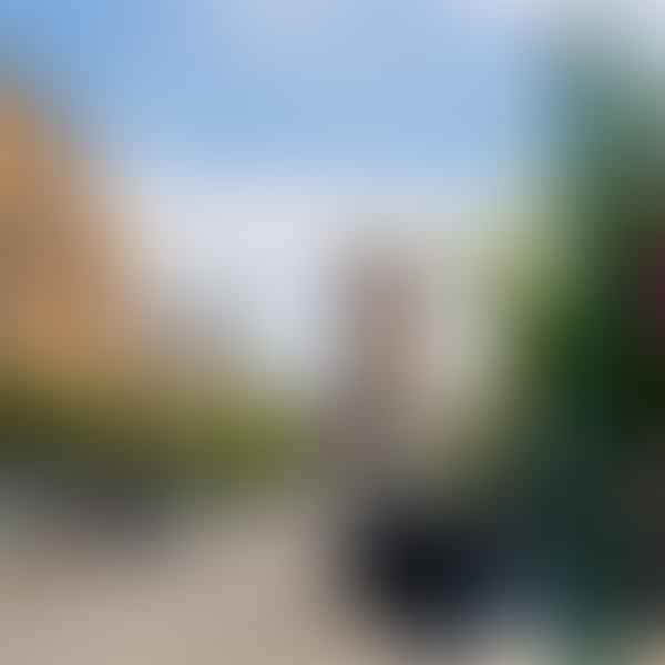 Best CBD Dispensaries in Syracuse, New York