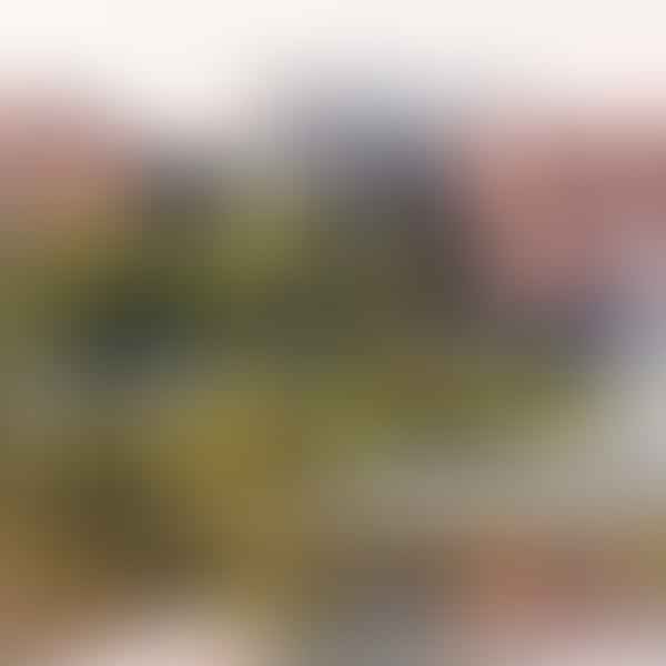 Best CBD Dispensaries in Sayre, Pennsylvania