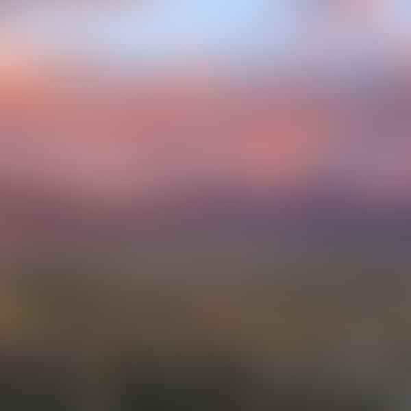 Best CBD Dispensaries in Pleasant Grove, Utah