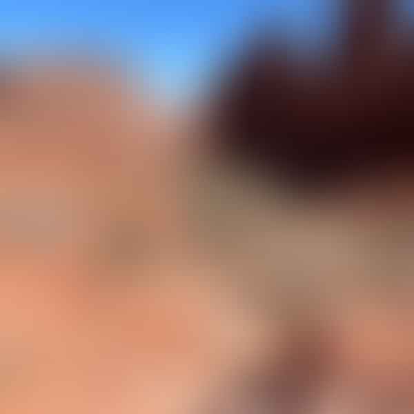 Best CBD Dispensaries in West Jordan, Utah