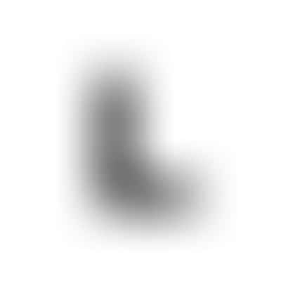 Lucky Leaf Co. Logo