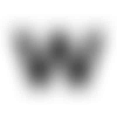 Wildflower Vibes CBD Logo