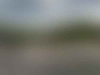 Green Vibes Lares