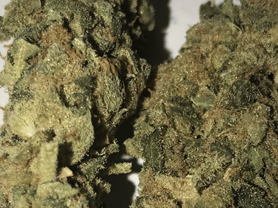 #Dispensary@Main Street Wellness LLC