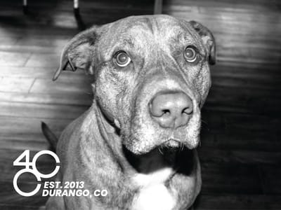 4 Corners Cannabis CBD