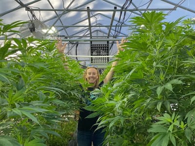 4 Corners Cannabis CBD