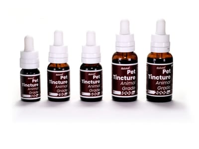 4 Corners Cannabis CBD