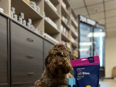 704Hemp CBD Shop Salisbury