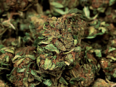 A&T Organic Solutions