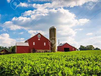 Absolute Hemp Products