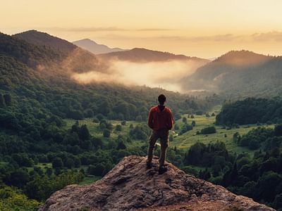 Active Botanical Co.