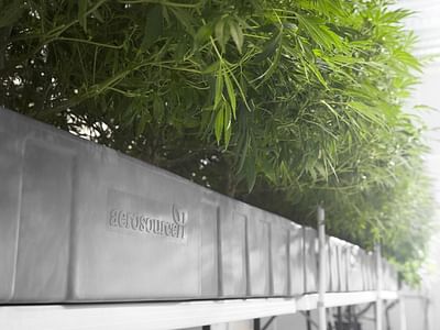 AerosourceH Grow Store and Cannabis Seed Bank (CBD and Delta 8 THC products)