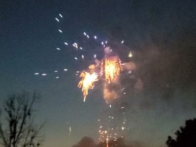 aliceCBD | Webb City, MO