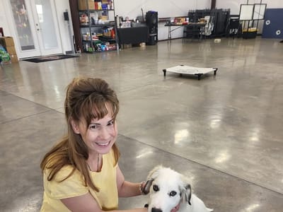 aliceCBD | Webb City, MO