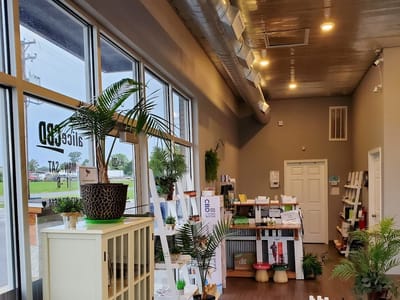 aliceCBD | Webb City, MO