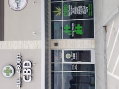 All About CBD Porter