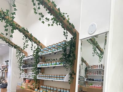 Alter Native CBD - Bayside