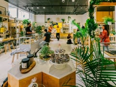 Alter Native CBD - Bayside