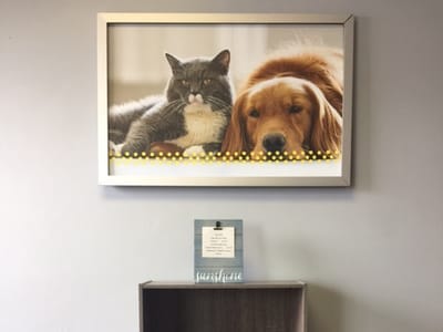 Alternative Healing - CBD And Hemp Store