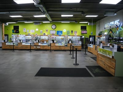 Altitude Organic Cannabis and Medicine