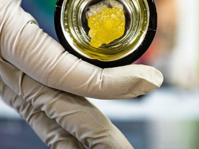 Altitude Organic Cannabis and Medicine