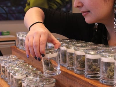 Amazon Organics - Dispensary - Cannabis Store